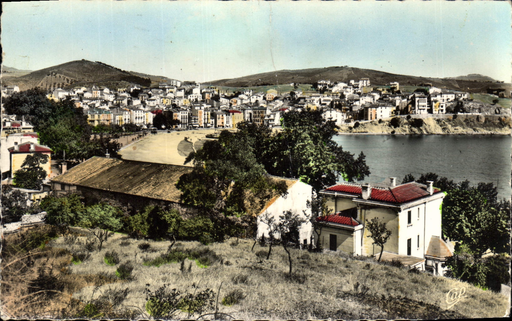 CPM Banyuls Sur Mer Vue Generale