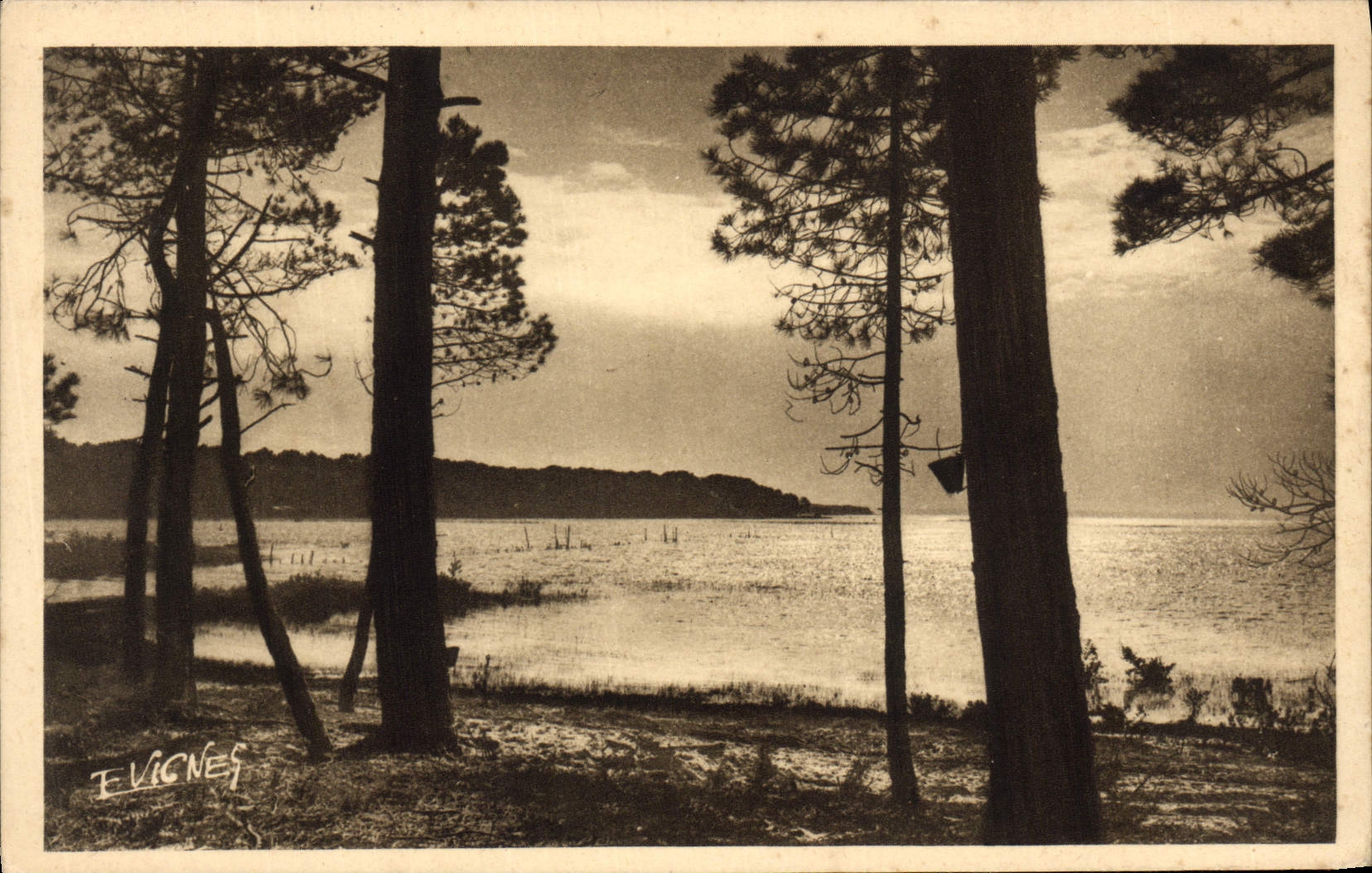 Sainte-Adresse — Coin d'un lac de la Côte d'Argent — E. Vignes