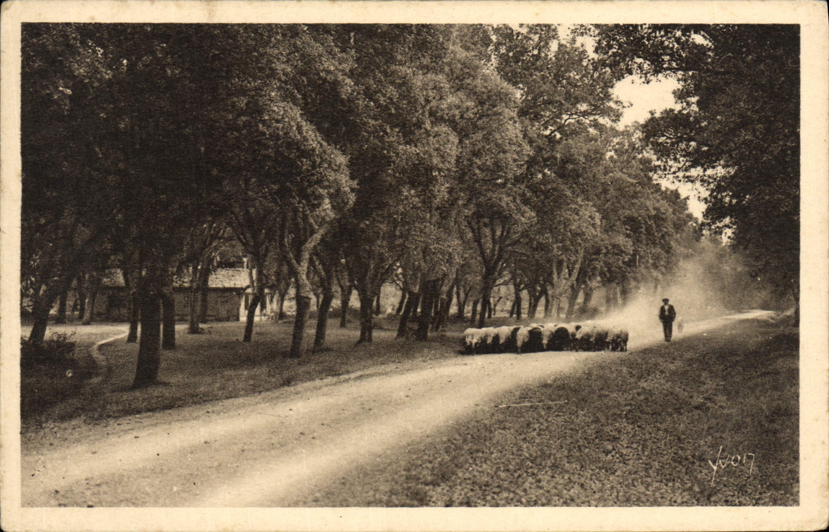 Les Landes de Gascogne — Sur les Routes poudreuses — Éditions d'Art AVON, n°43
