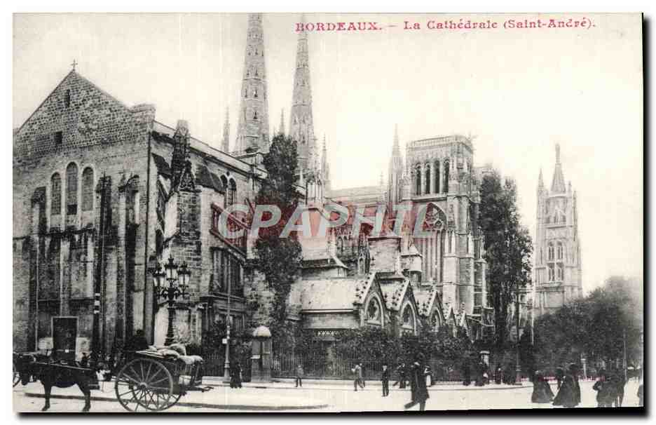 CPA Bordeaux La Cathedrale Attelage Ane Mule