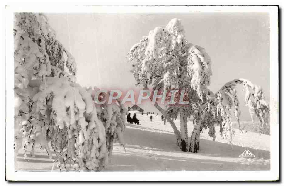 Paysage hivernal enneigé — éditeur C.A.B. — n°38