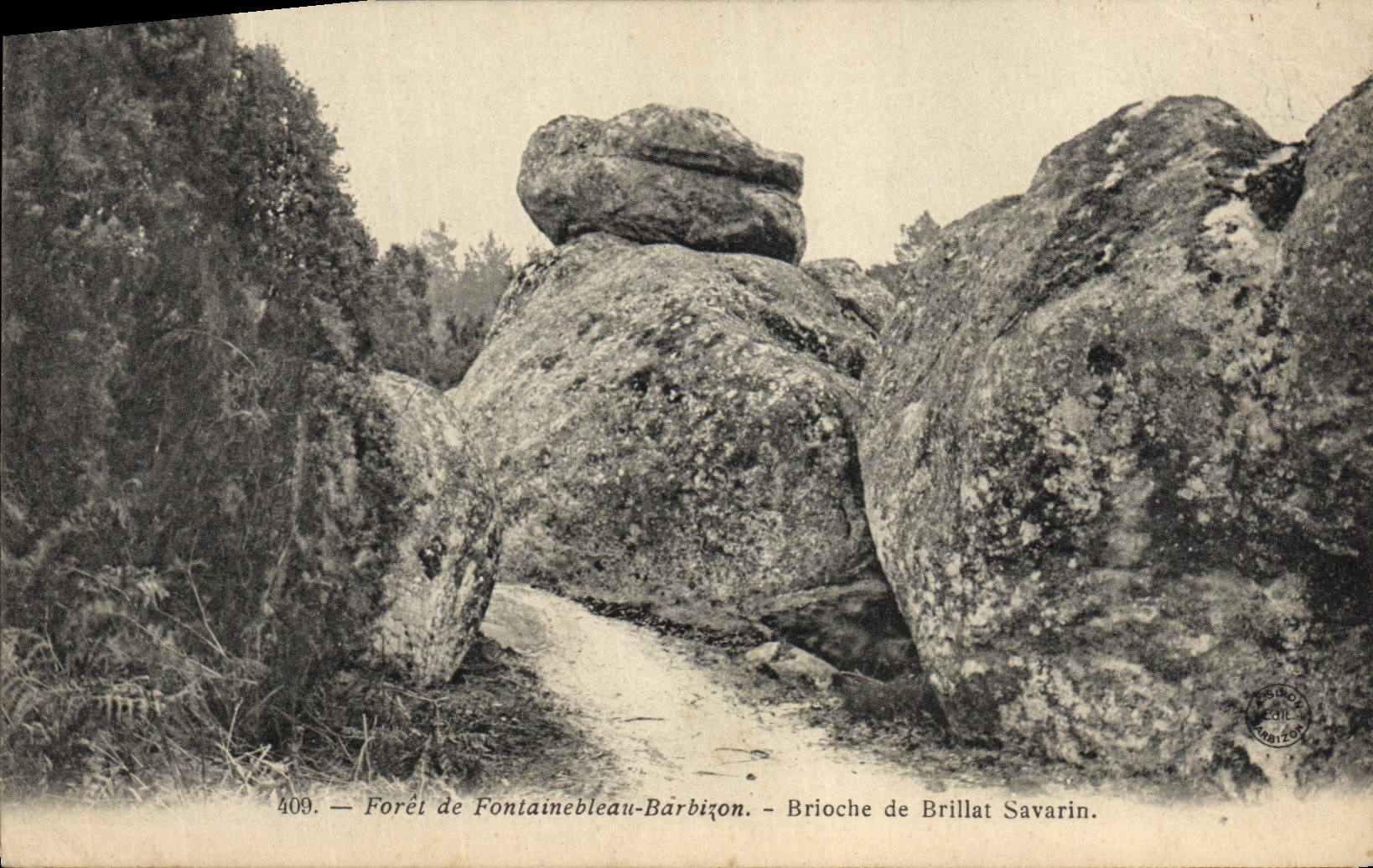 Bosque de Fontainebleau-Bârbizon — Brioche de Brillat Savarin — n°409
