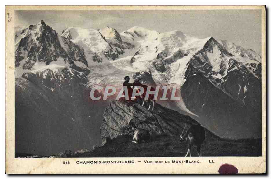 CPA Chamonix Mont Blanc Vue sur Le Mont Blanc