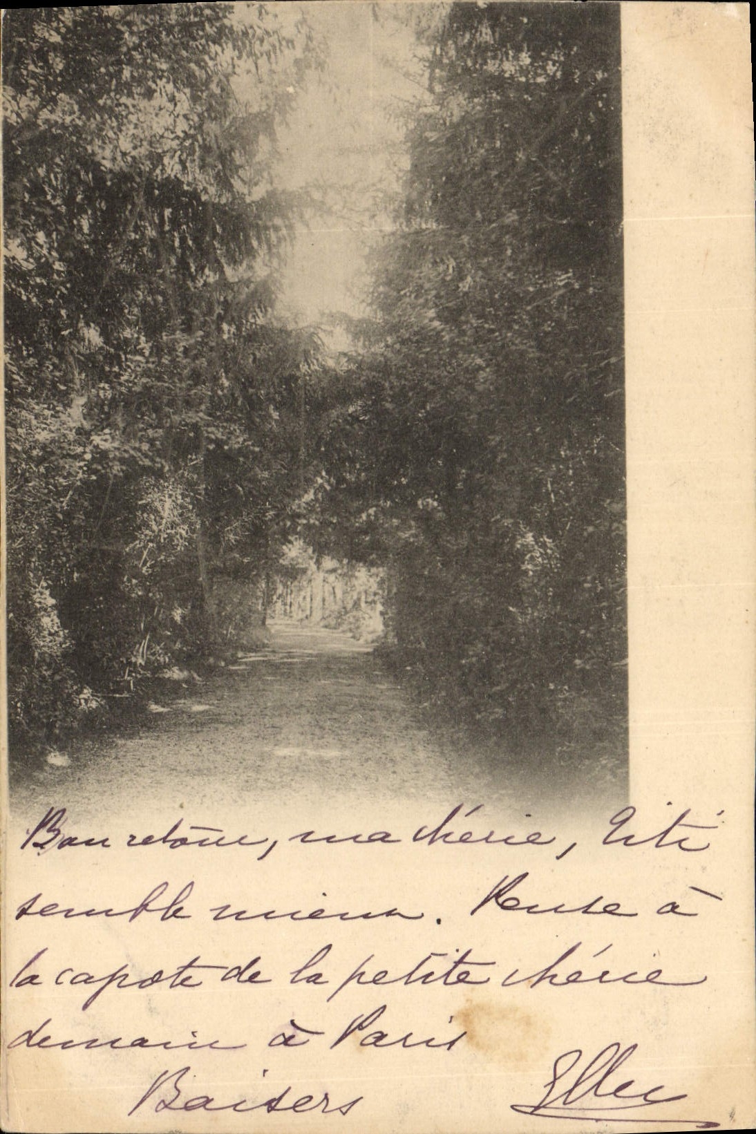 CPA Chemin dans les bois