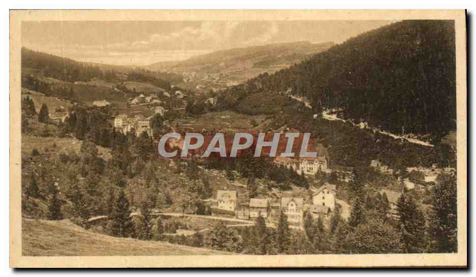 CPA Triberg Blick in dasn Schonachtal