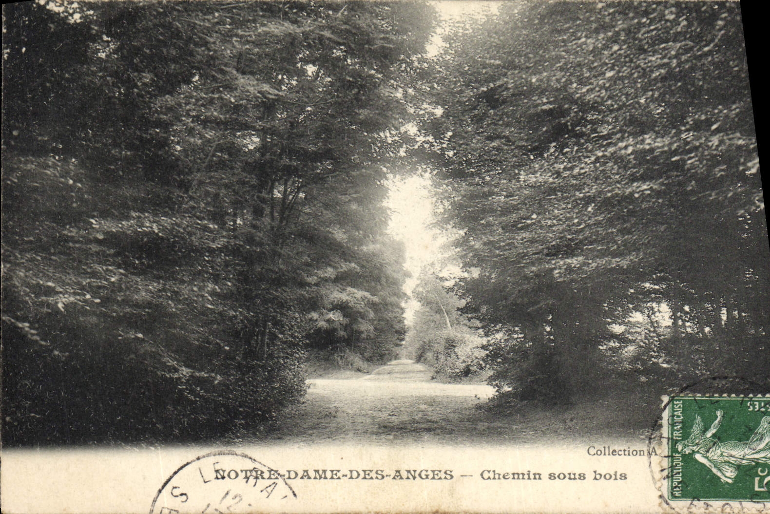 CPA Notre Dame Des Anges Chemin sous bois