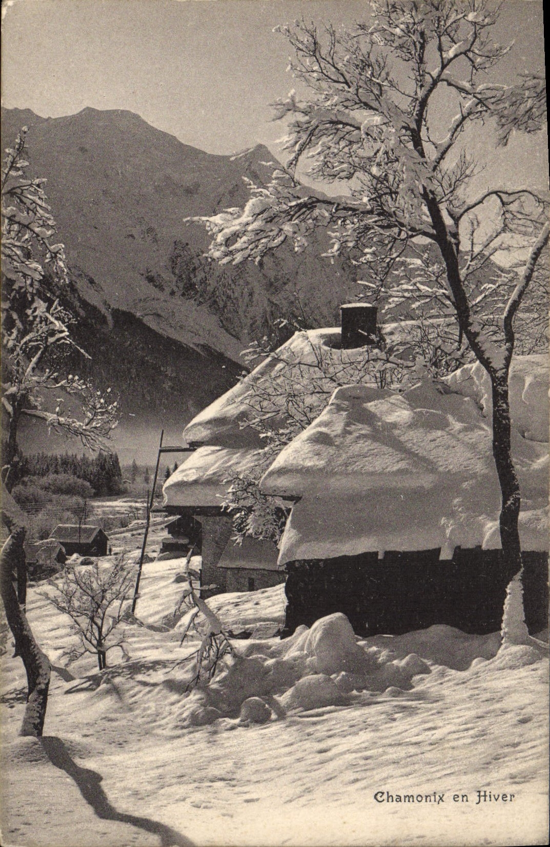 CPA Chamonix en Hiver