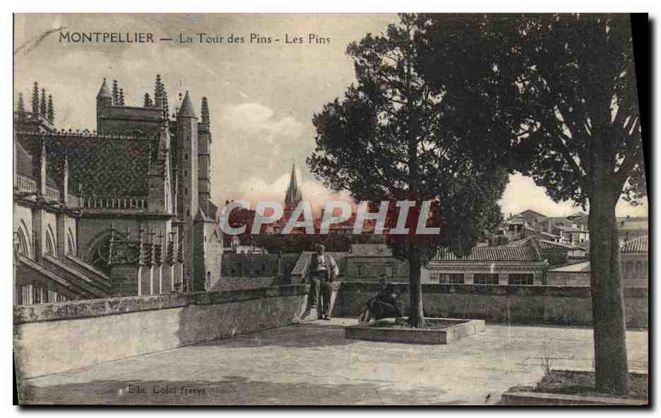 Montpellier — La Tour des Pins — Les Pins — Verlag: Gohin frères