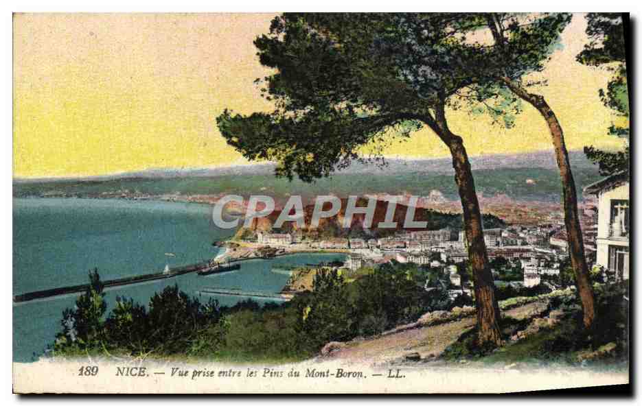 CPA Nice Vue Prise entre les Pins du Mont Boron