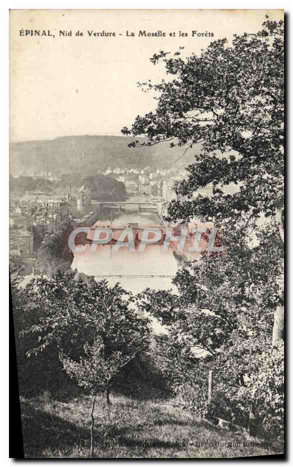 CPA Epinal Nid de Verdure La Moselle et les Forets