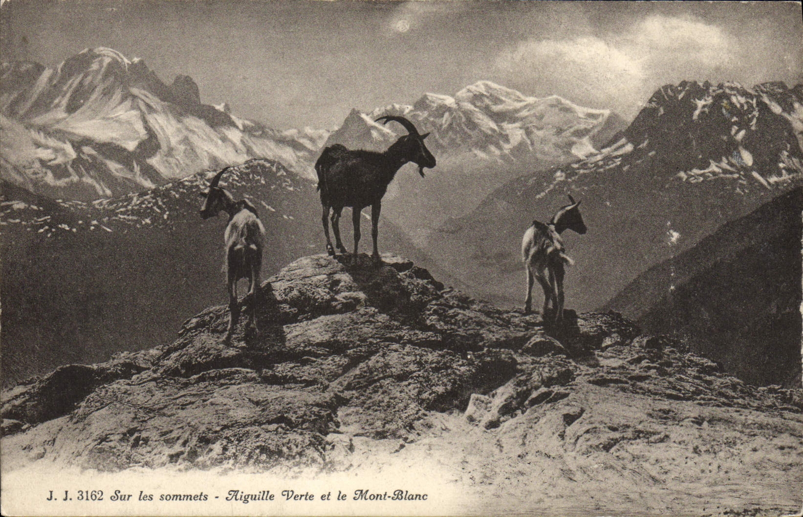 Auf den Gipfeln — Aiguille Verte und Mont-Blanc — J. J. 3162