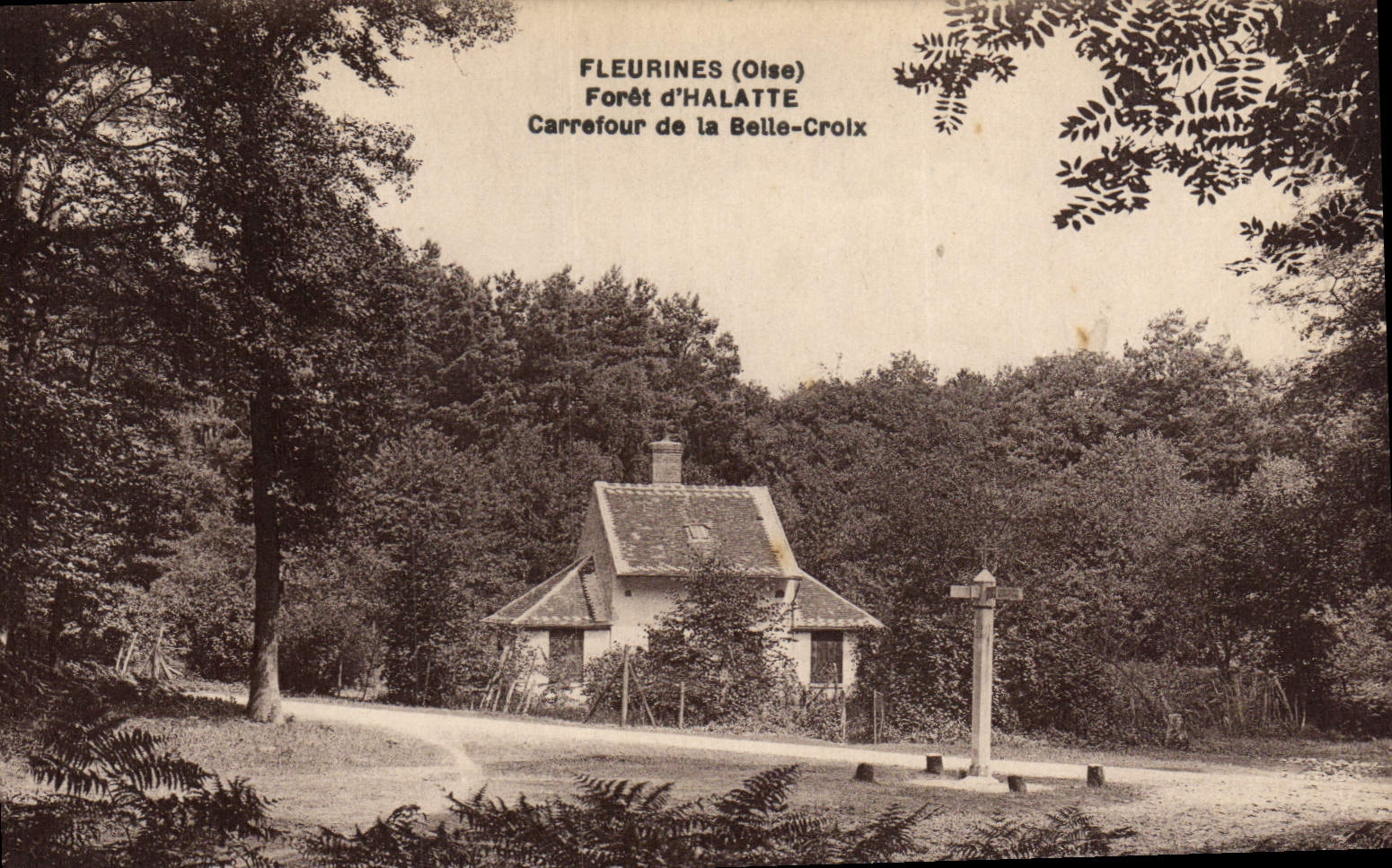 CPA Fleurines Foret d'Halatte Carrefour de la Belle Croix