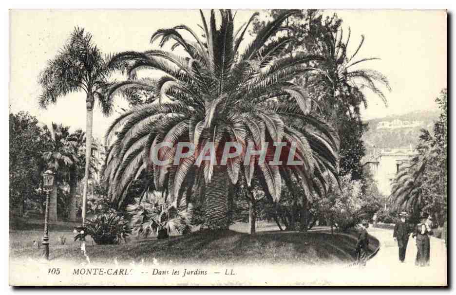 CPA Monte Carlo Dans les Jardins