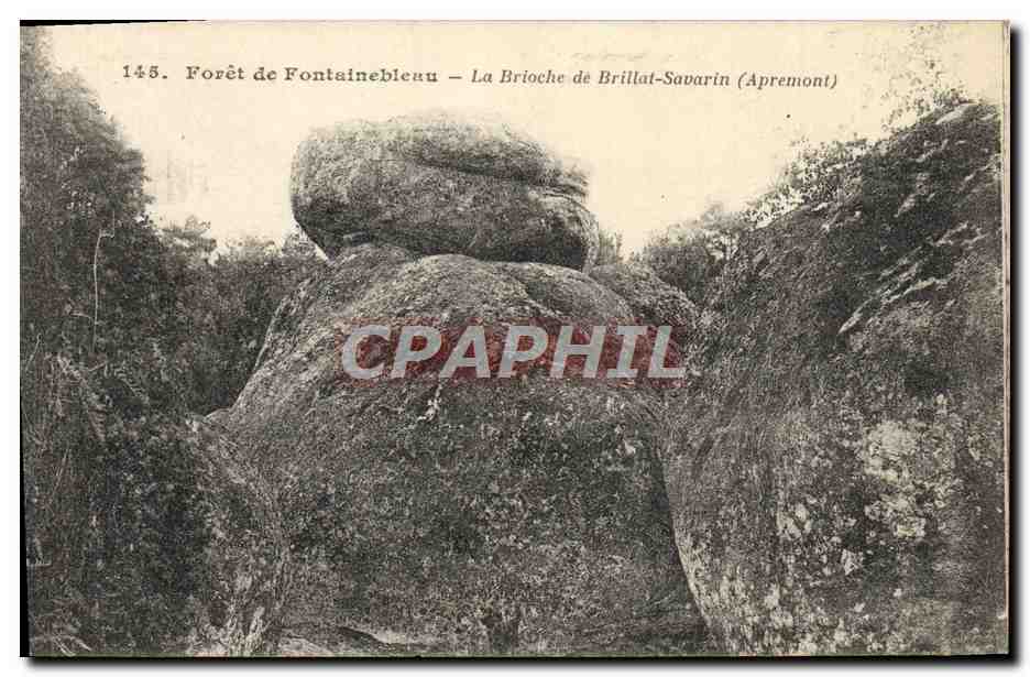 Wald von Fontainebleau — Die Brioche de Brillat-Savarin (Apremont) — n°145