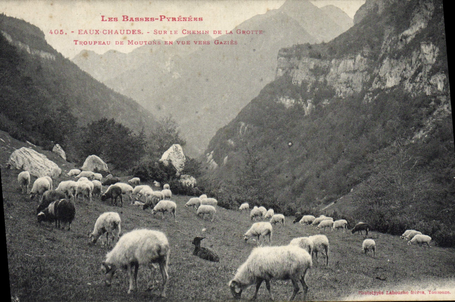 Les Basses-Pyrénées — Eaux-Chaudes. Troupeau de moutons en vue vers Gaziès — Phototype Lébouche frères, Toulouse