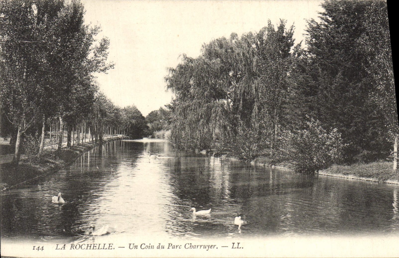 La Rochelle — Un Coin du Parc Charruyer — LL, n°144