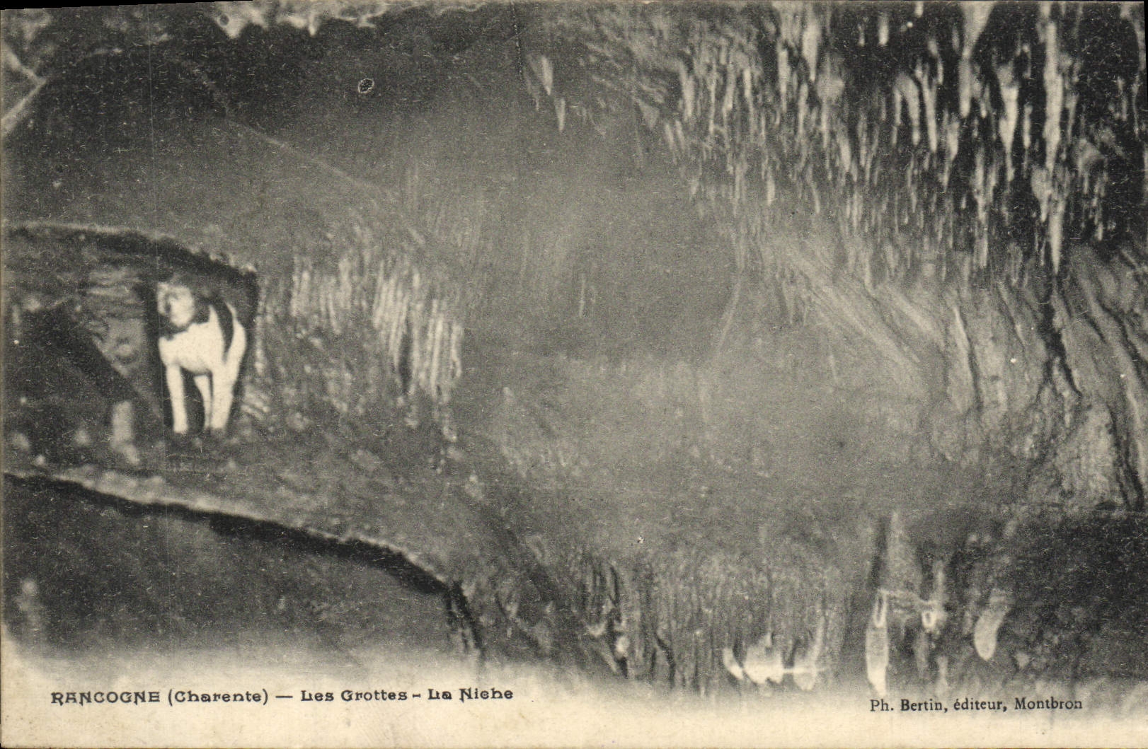 CPA Rancogne Les Grottes La Niche Chien 