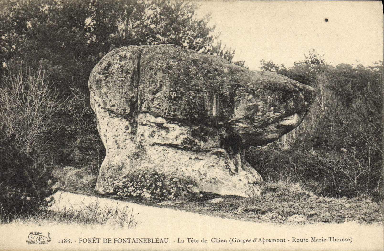 La Tête de Chien — Foresta di Fontainebleau — editore R. T. n° 1188