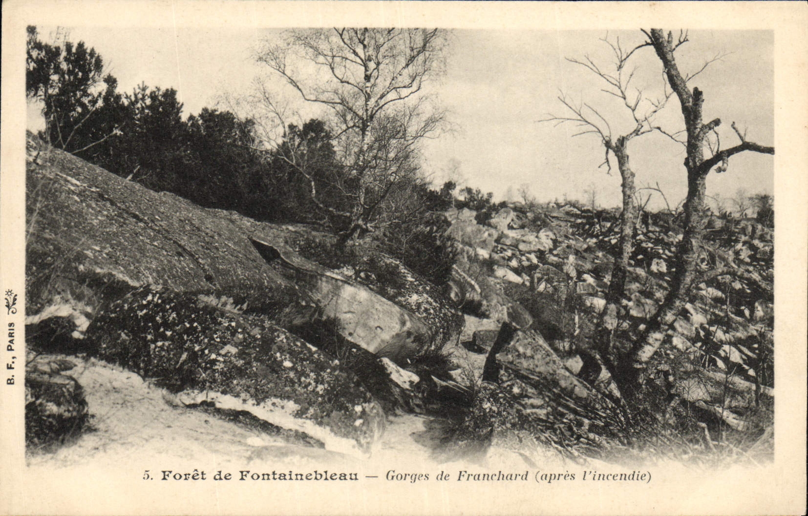 Forêt de Fontainebleau — Gorges de Franchard (après l'incendie) — B.F., Paris