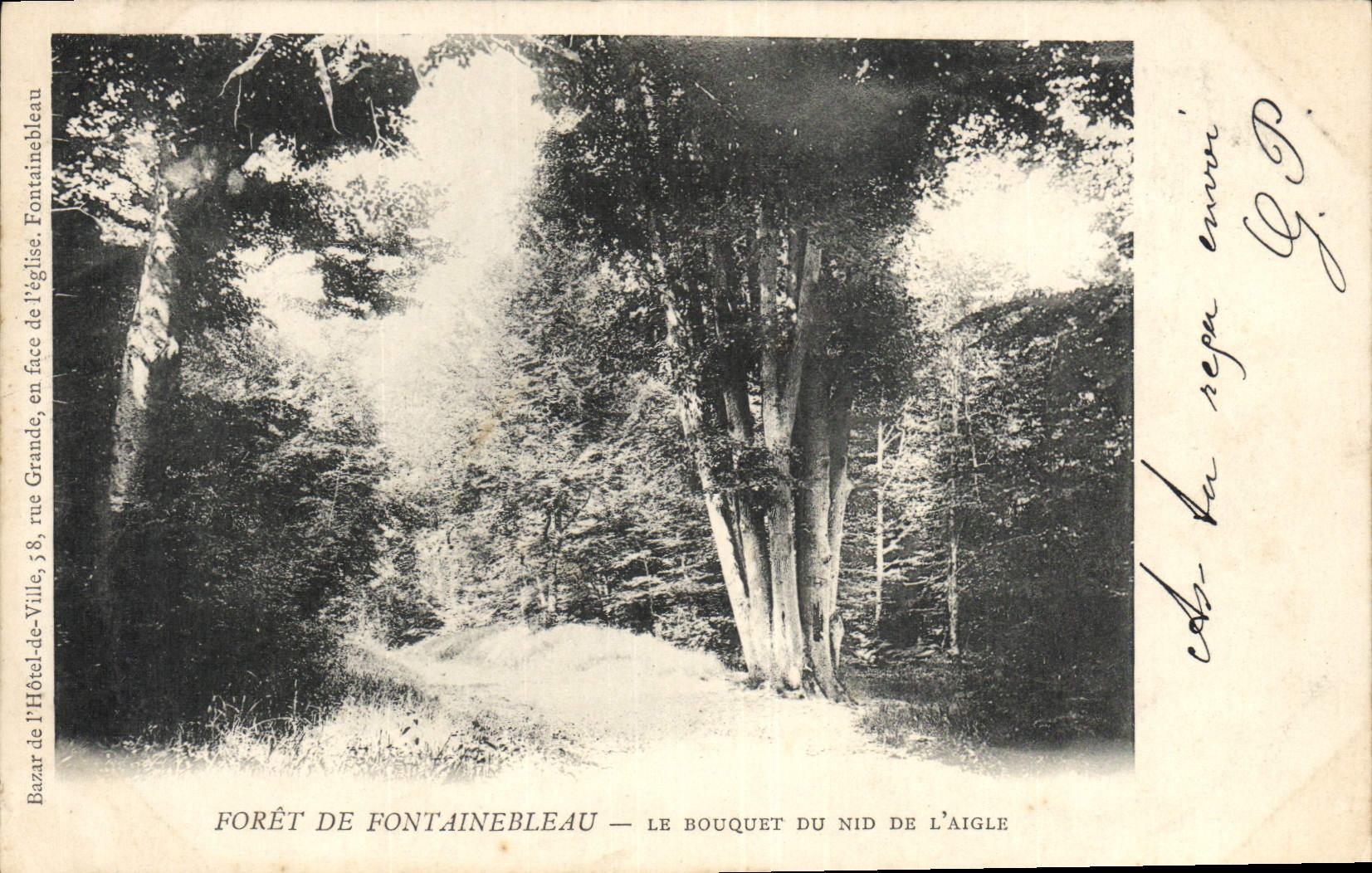Wald von Fontainebleau — Das Nest des Adlers — Bazar de l'Hôtel-de-Ville, Fontainebleau