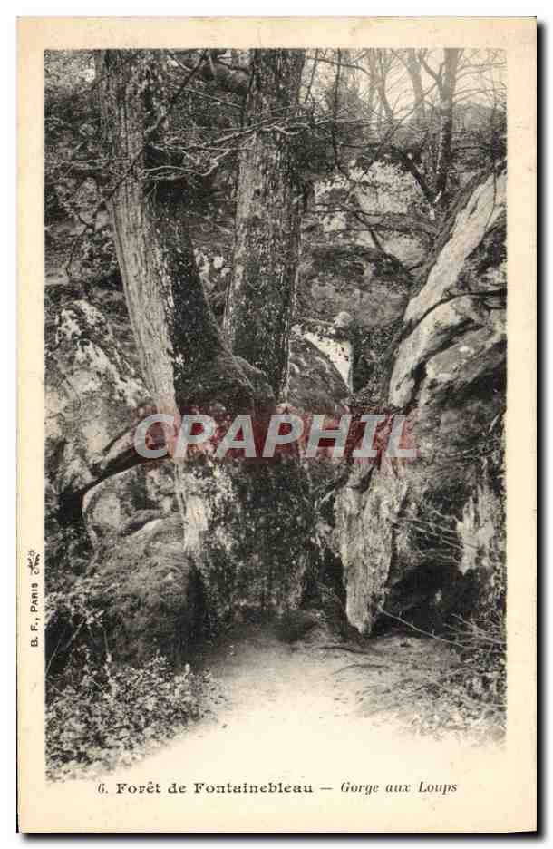 Forêt de Fontainebleau — Gorge aux Loups — B. Fr. Paris