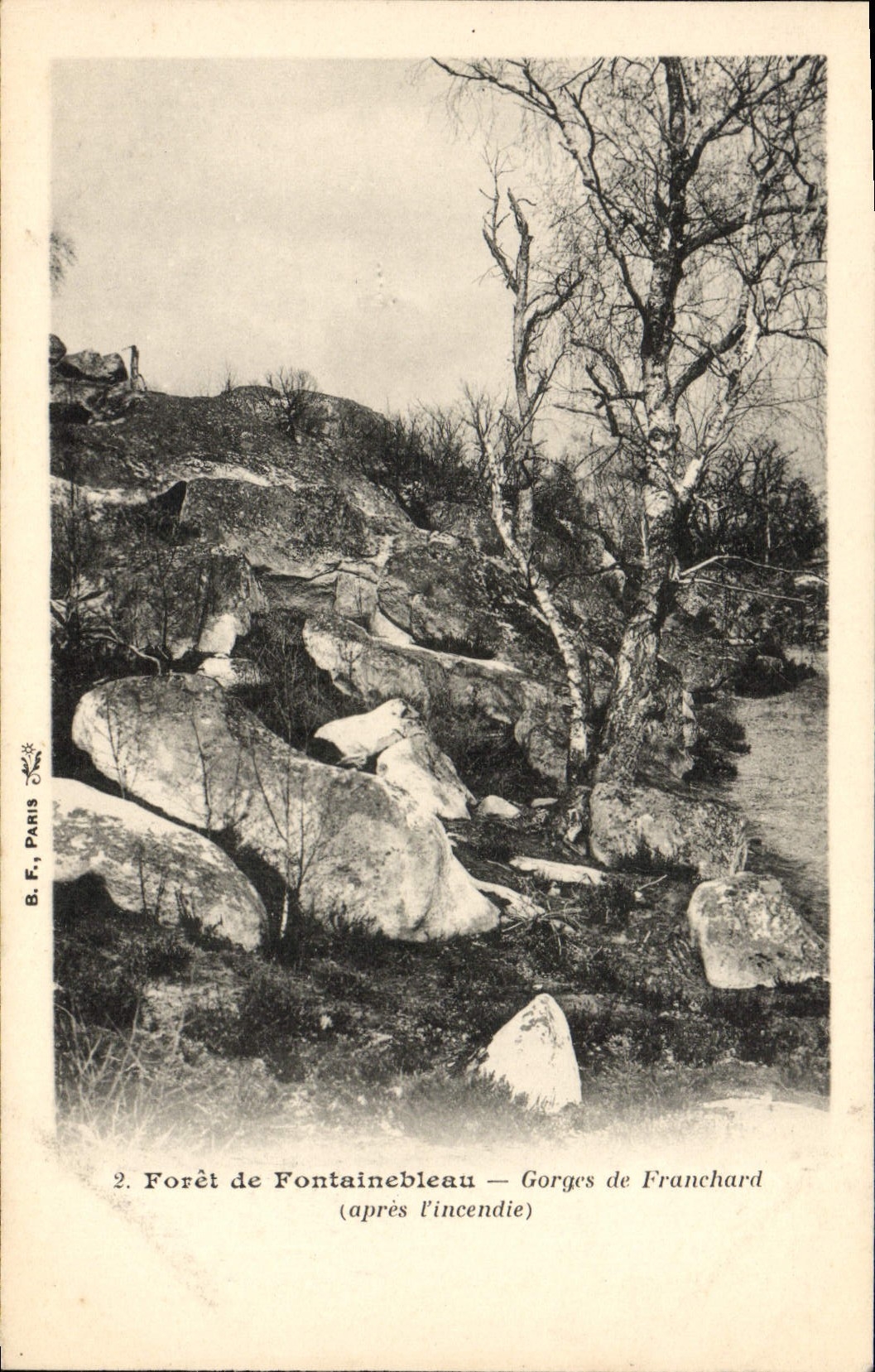 Forêt de Fontainebleau — Gorges de Franchard (après l'incendie) — B. F., Paris, n°2
