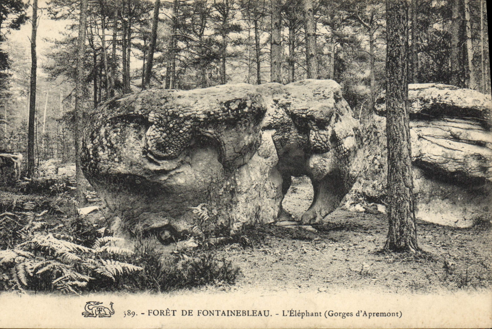 Forêt de Fontainebleau — L'Éléphant (Gorges d'Apremont) — n°389