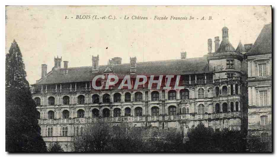 CPA Blois Le Chateau Facade Francois 1er