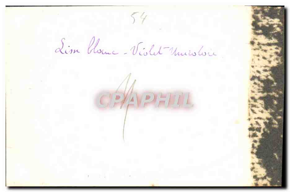 CPA Nancy Fontaine De Neptune — Verso
