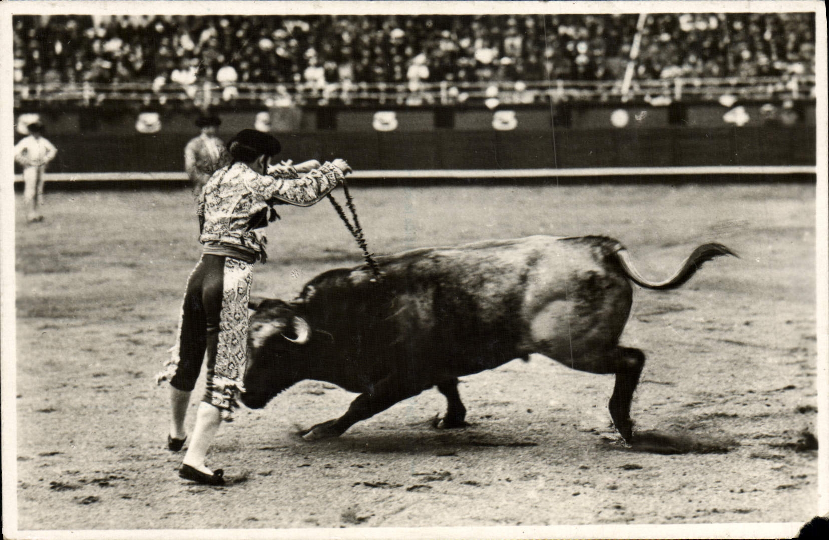 CPM Suerte De Banderillas Les Banderilles Corrida Taureau