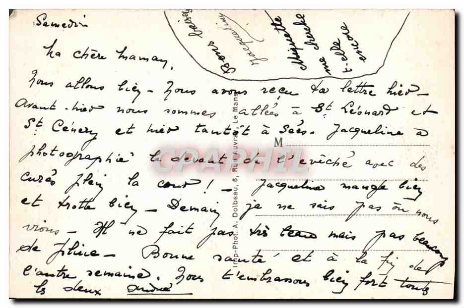 CPA Les Alpes Mancelles St Leonard des Bois Vue generale  — Verso