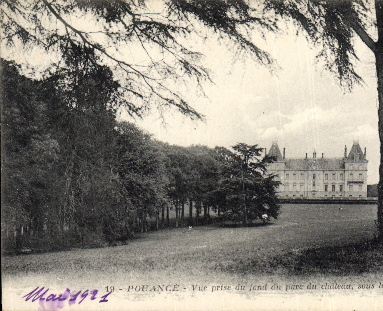 CPA Pouance Vue Prise du Fond du Parc du Chateau sous le grand sapin