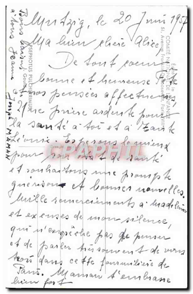 CPA Fantaisie Vive Sainte Alice Oiseaux Perruches — Rückseite
