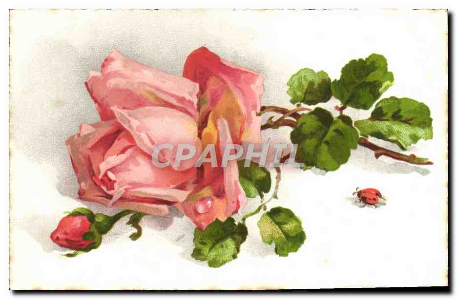 CPA Fantaisie Fleurs