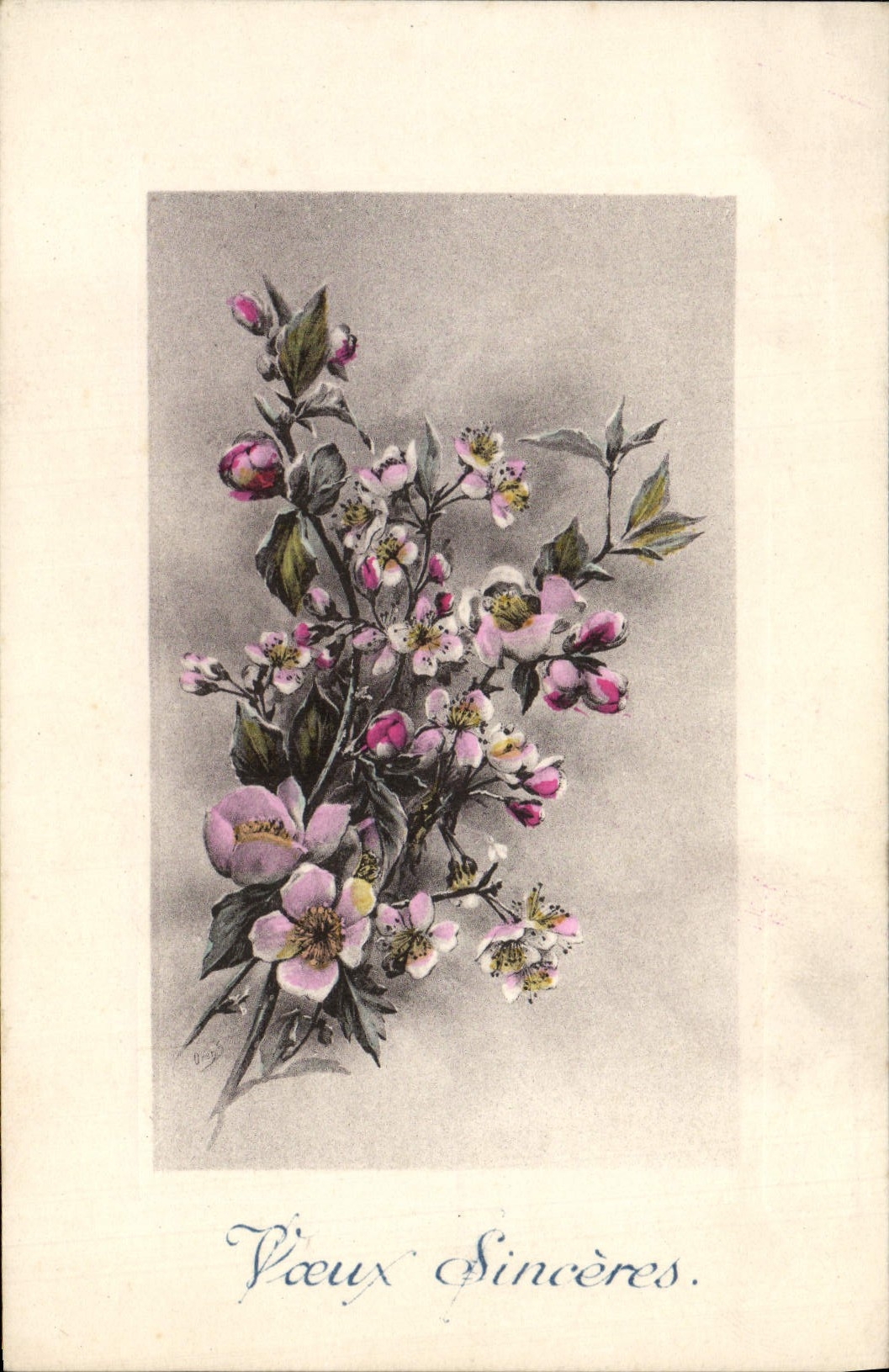 CPA Fantaisie Fleurs Vieux Sineceres