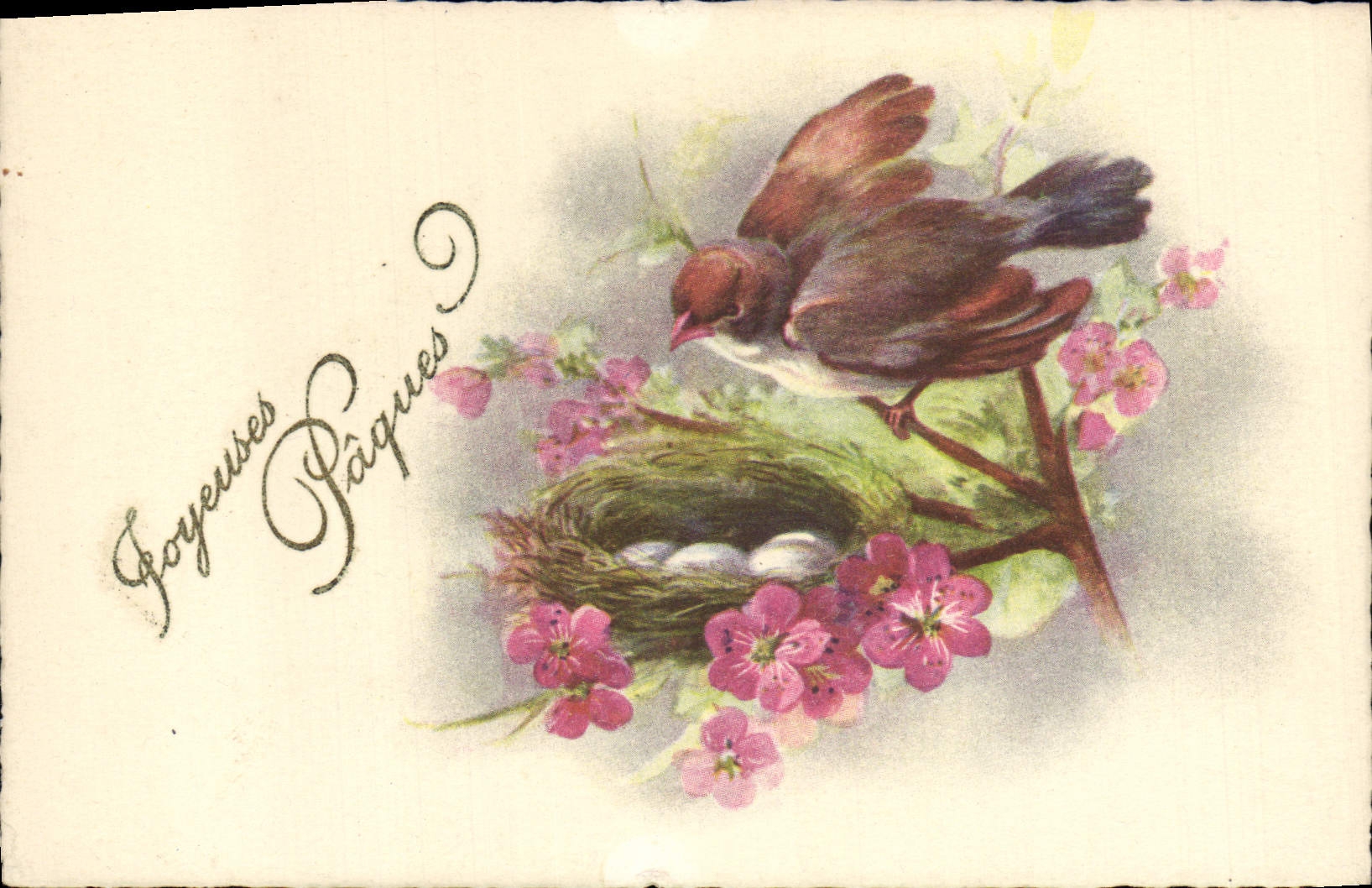 CPA Fantaisie Oiseau Oeuf