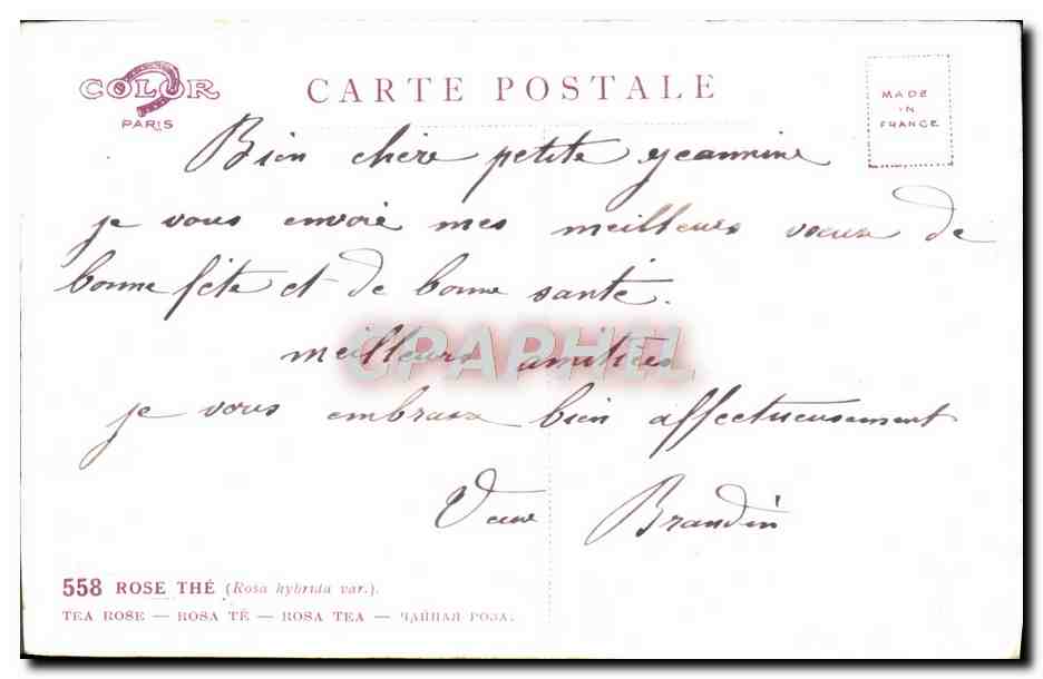 CPA Fantaisie Fleurs — Verso