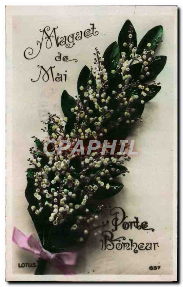 CPA Fantaisie Fleurs Muguet