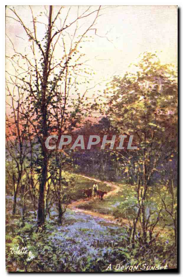 A Devon Sunset — paysage avec un homme et deux vaches — Oilette, série XI, Tuck & Sons