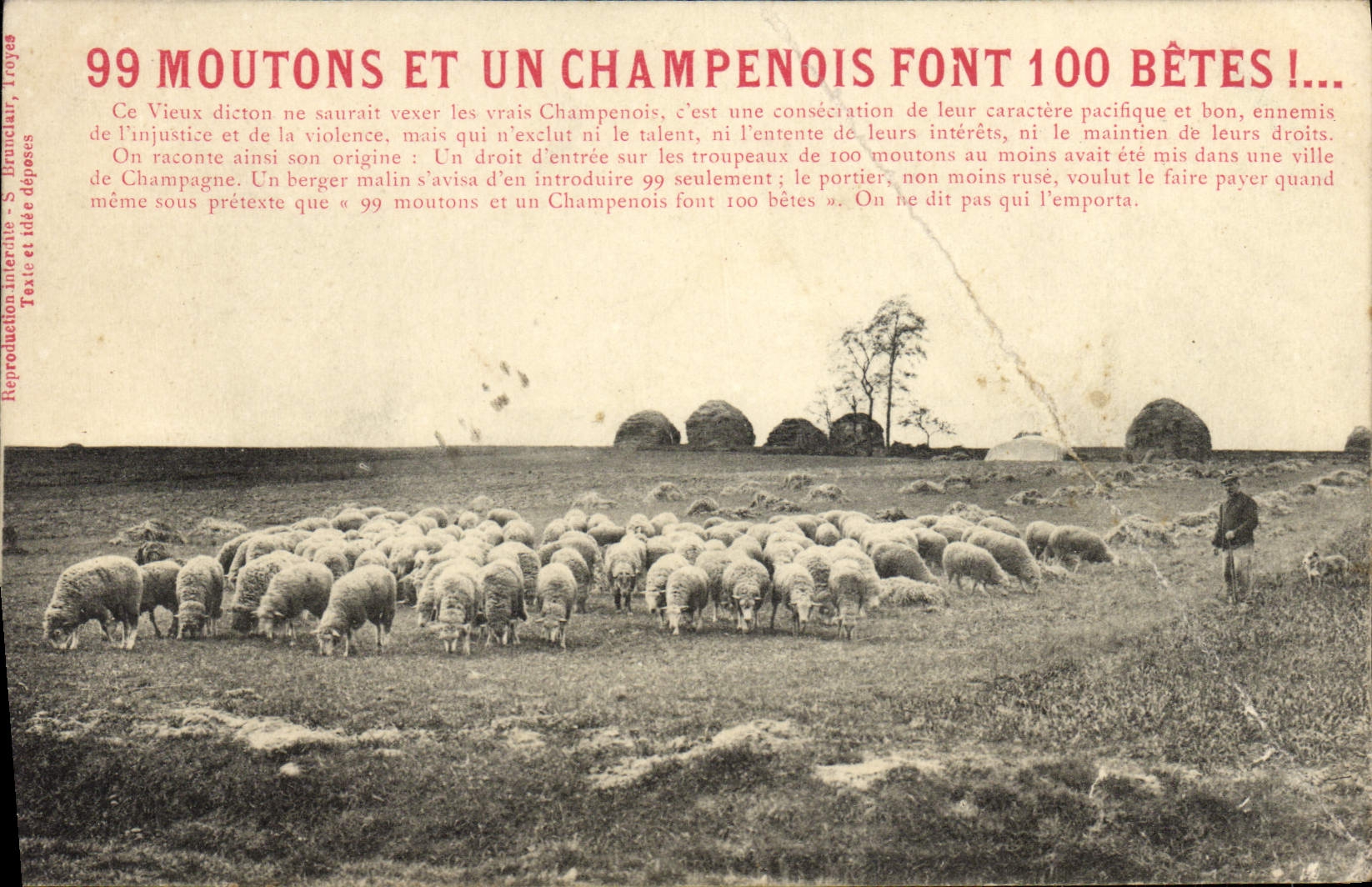 99 MOUTONS ET UN CHAMPENOIS FONT 100 BÊTES ! — Reproduction — S. Bruncaur, Troyes