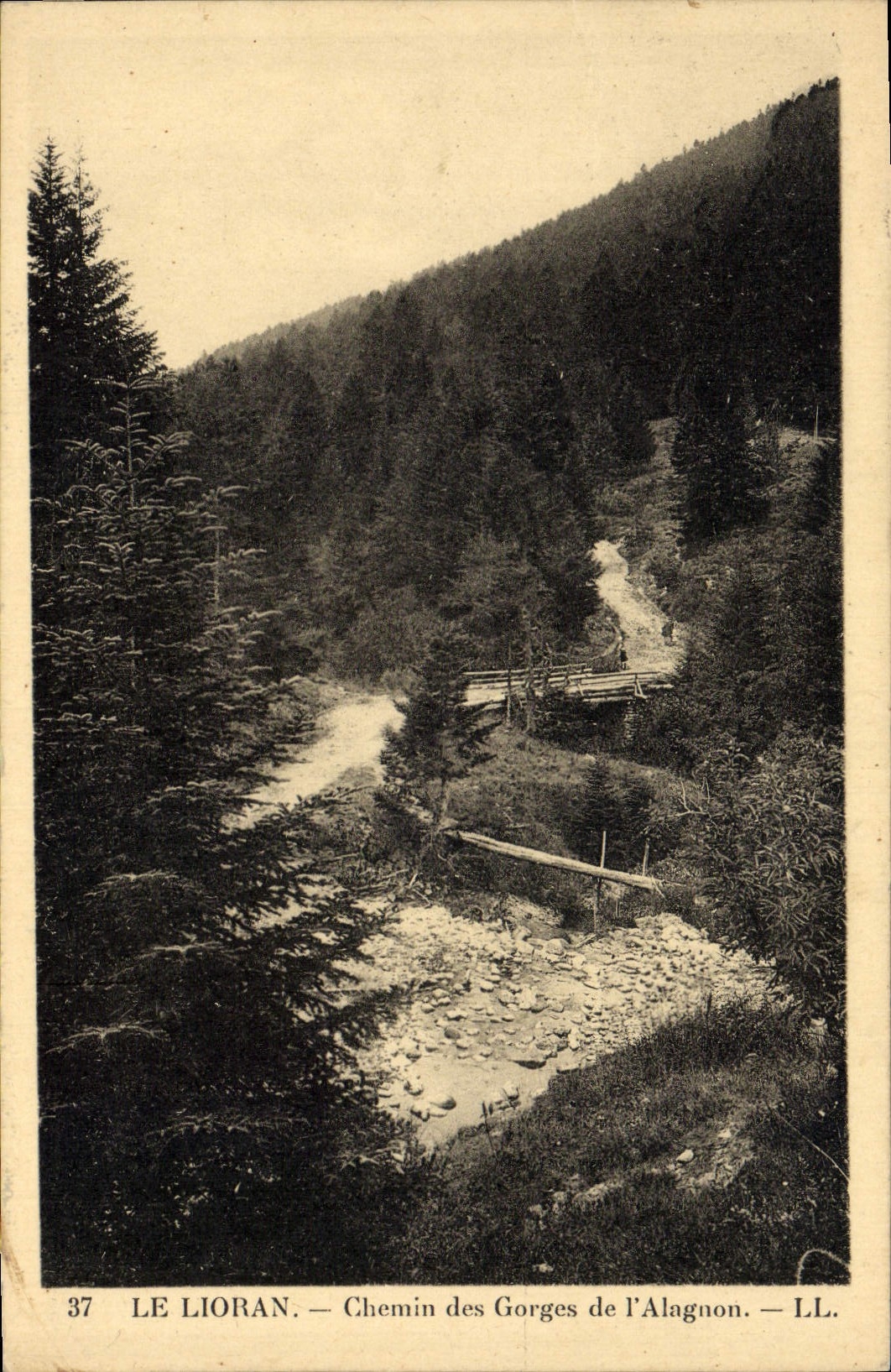 CPA Le Lioran Chemin Des Gorges De I'Alagnon