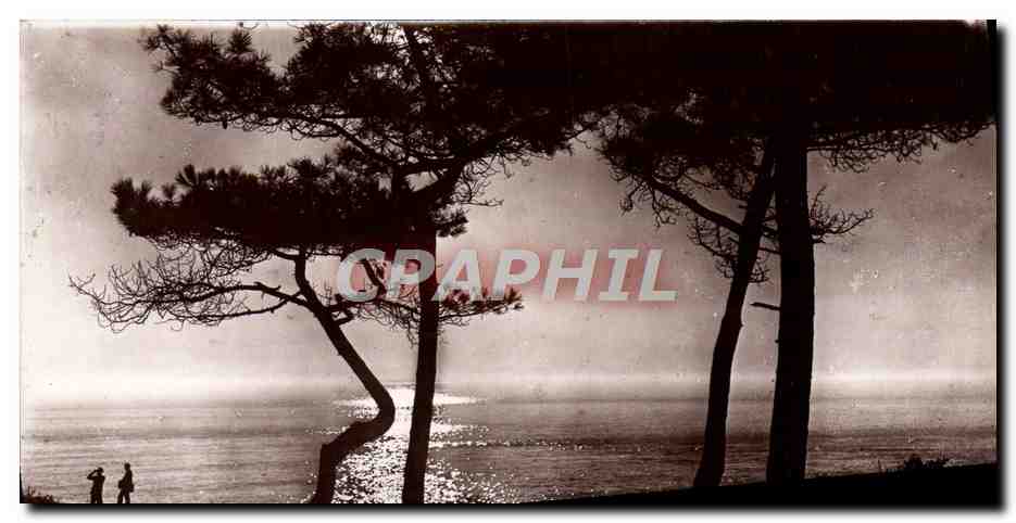 Environ de Royan — St-Palais-sur-Mer — La Grande Côte — Éditions Artistiques Raymond Bergevin