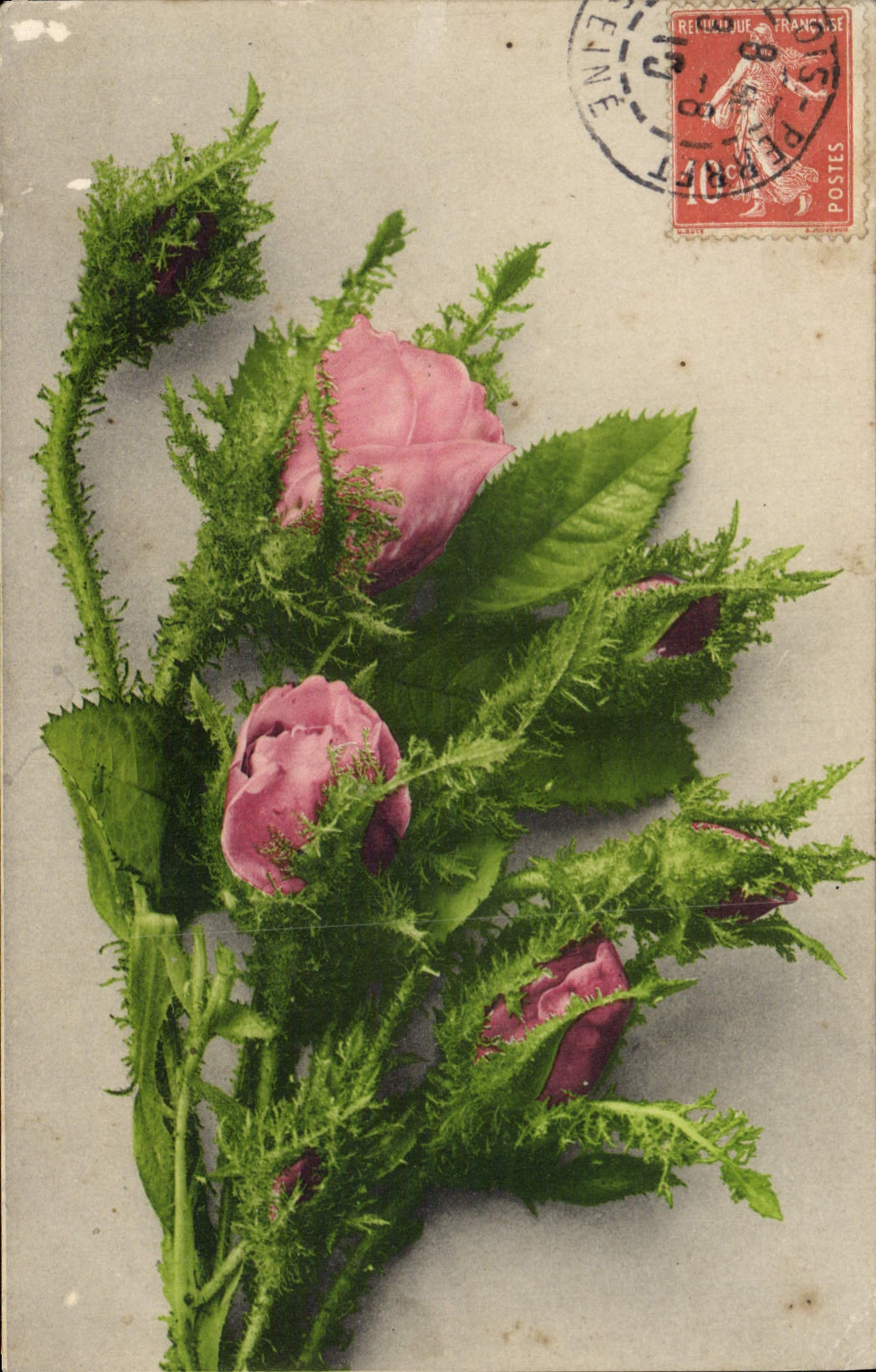 CPA Fantaisie Fleurs