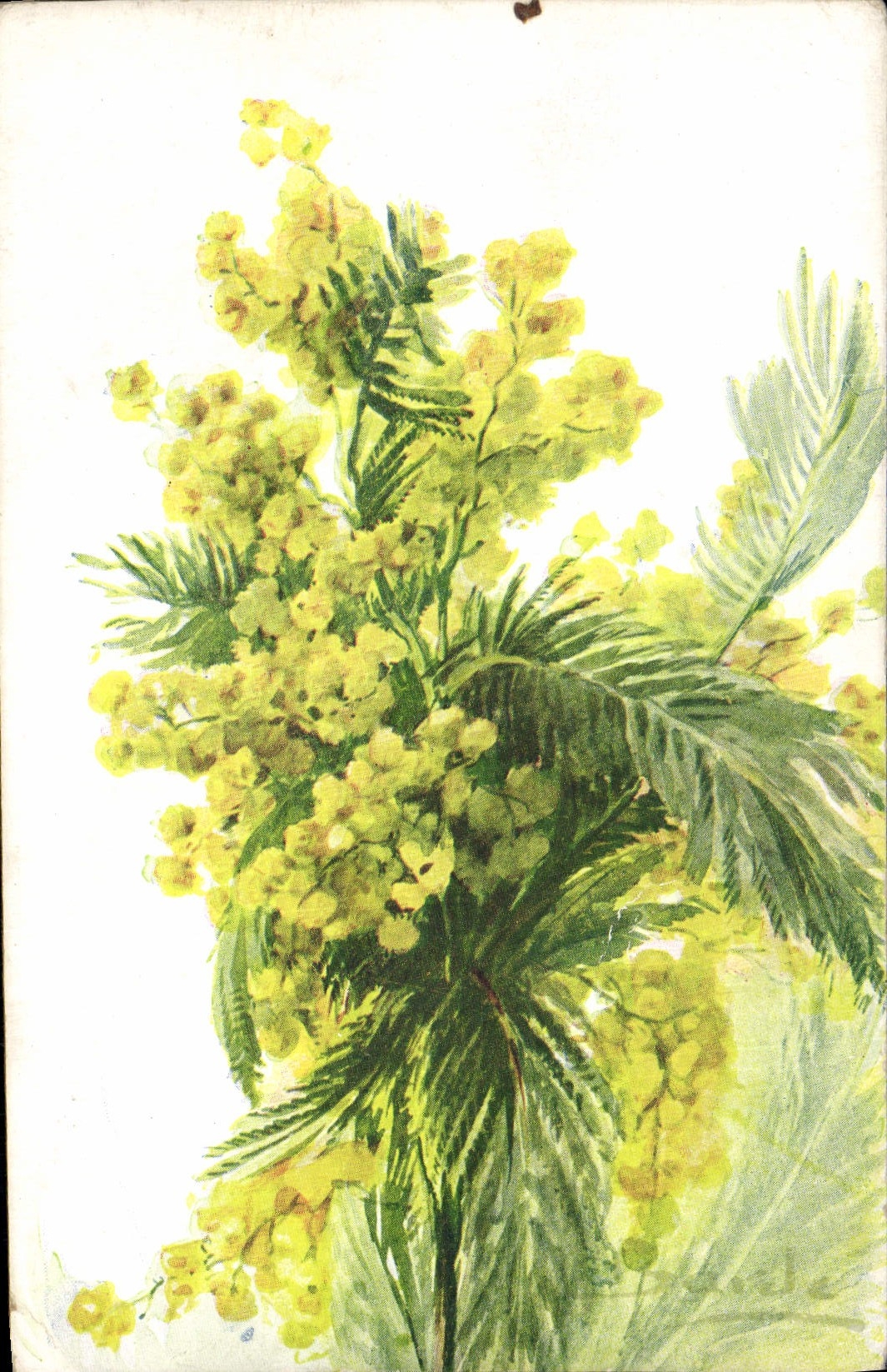 CPA Bonne Annee Fleurs