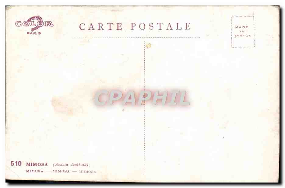 CPA Bonne Annee Fleurs — Rückseite