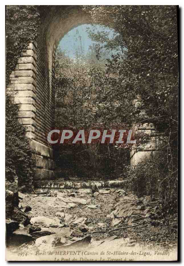 CPA Foret de Mervent Canton de St Hilaire des loges Le pont du deluge Le torrent a sec