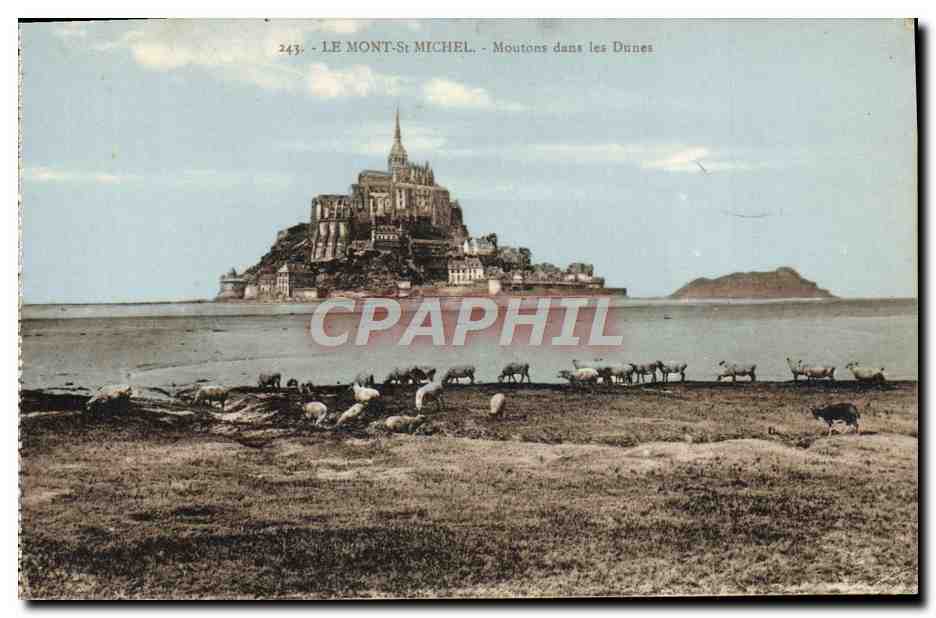 El Mont-Saint-Michel - Ovejas en las Dunas — n°243, editor Laurent Nel, Rennes