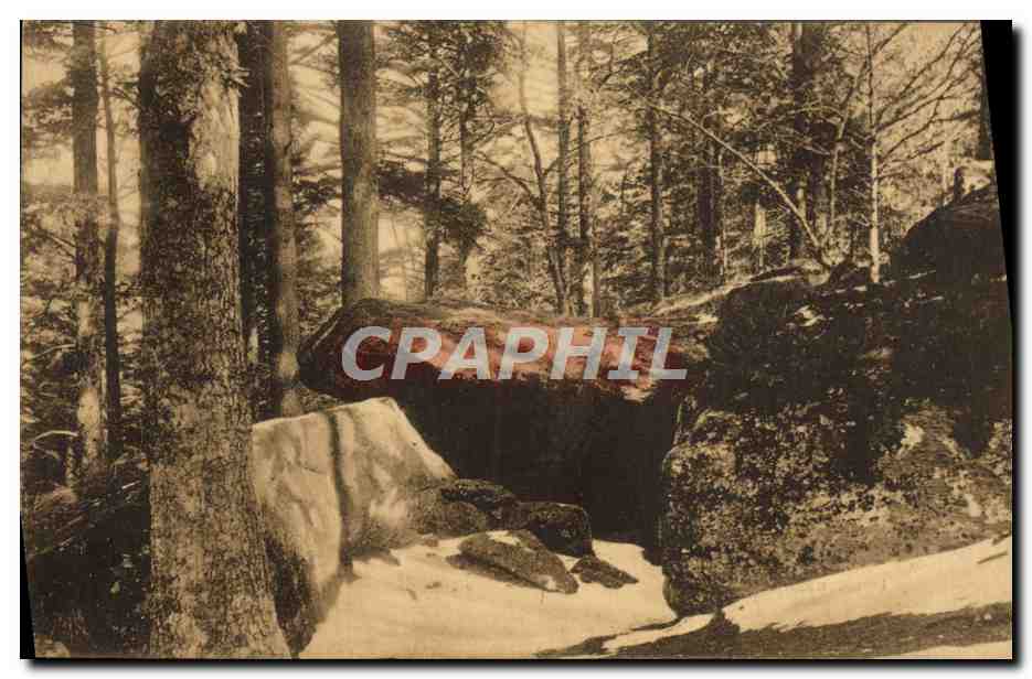 CPA Odilienberg Druidenhohle