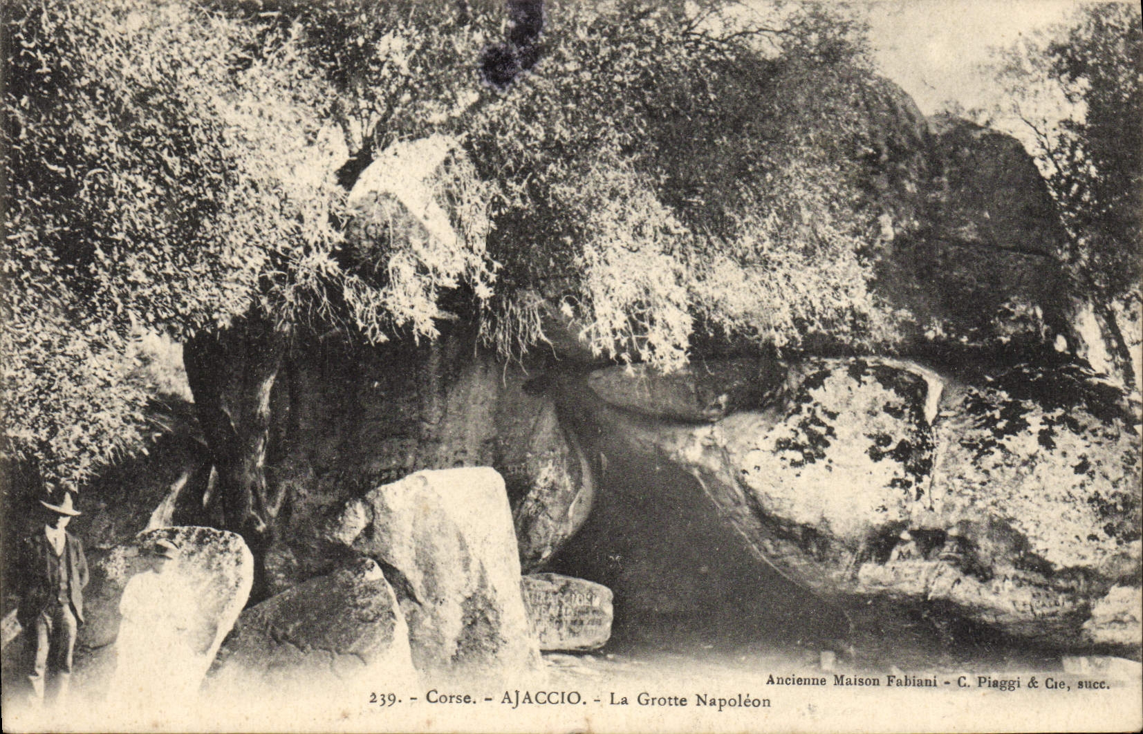 CPA Corse Ajaccio La Grotte Napoleon 1er