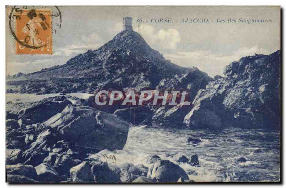 CPA Corse Ajaccio Et Iles Sanguinaires